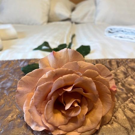 Hotel Rose City Budapest Eksteriør billede