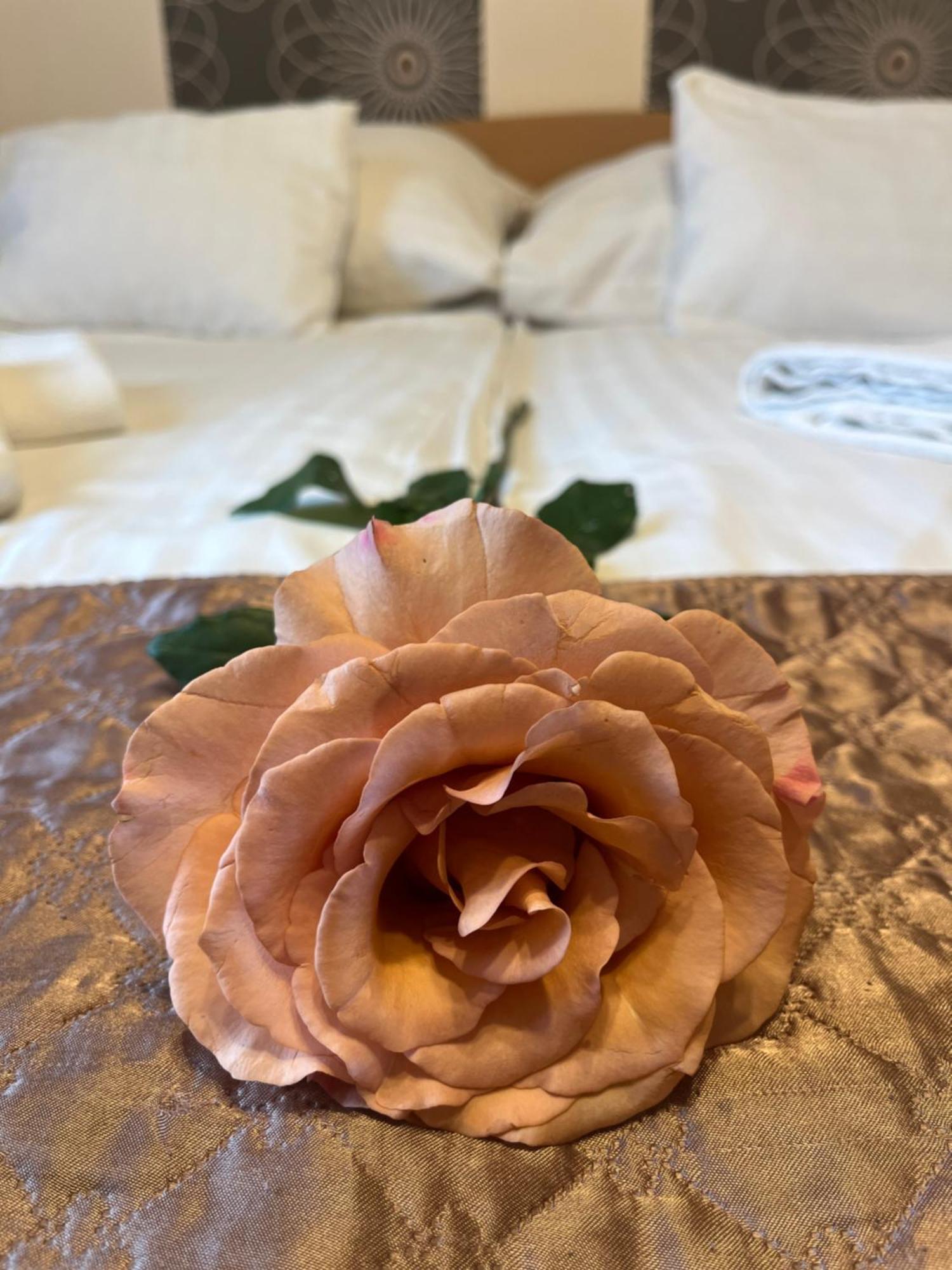 Hotel Rose City Budapest Eksteriør billede